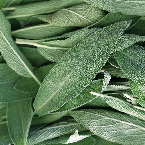 Sage Element Fragrance Oil