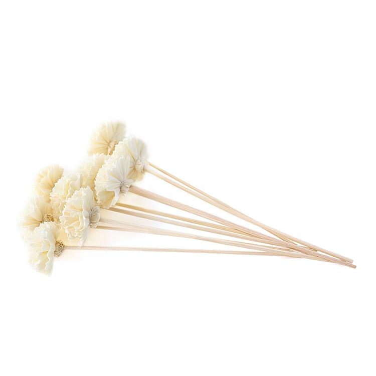 Carnation Flower Diffuser Reeds on a white background
