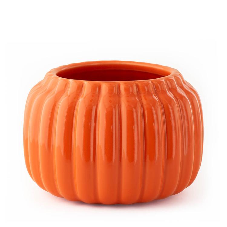 Harvest Classic Orange Ceramic Pumpkin Jar with no on a white background