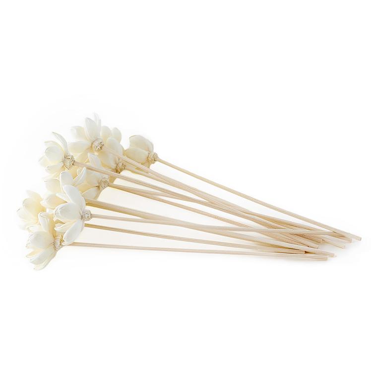 Lotus Flower Diffuser Reeds on a white background