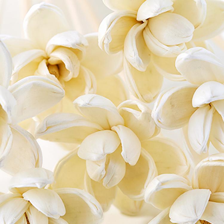 Close up of Lotus Flower Diffuser Reeds displaying petals
