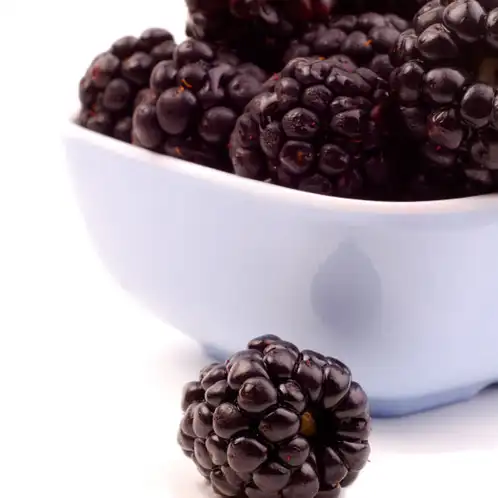 Blackberry Marmalade (Discontinued)