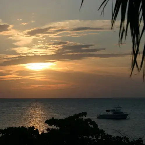 Montego Bay (Discontinued)
