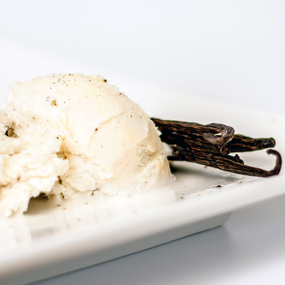 French Vanilla (Discontinued) CandleScience