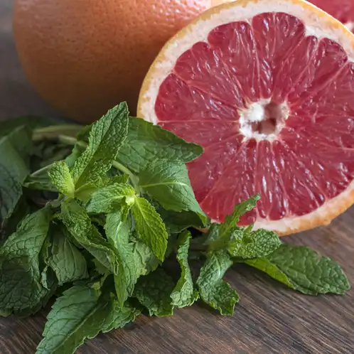 Grapefruit and Mint Fragrance Oil