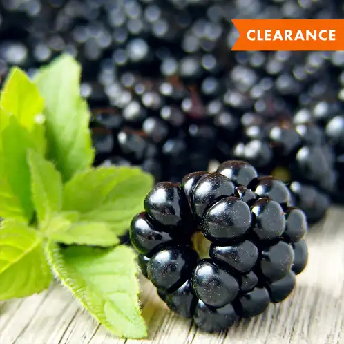 Blackberry Sage (Discontinued)