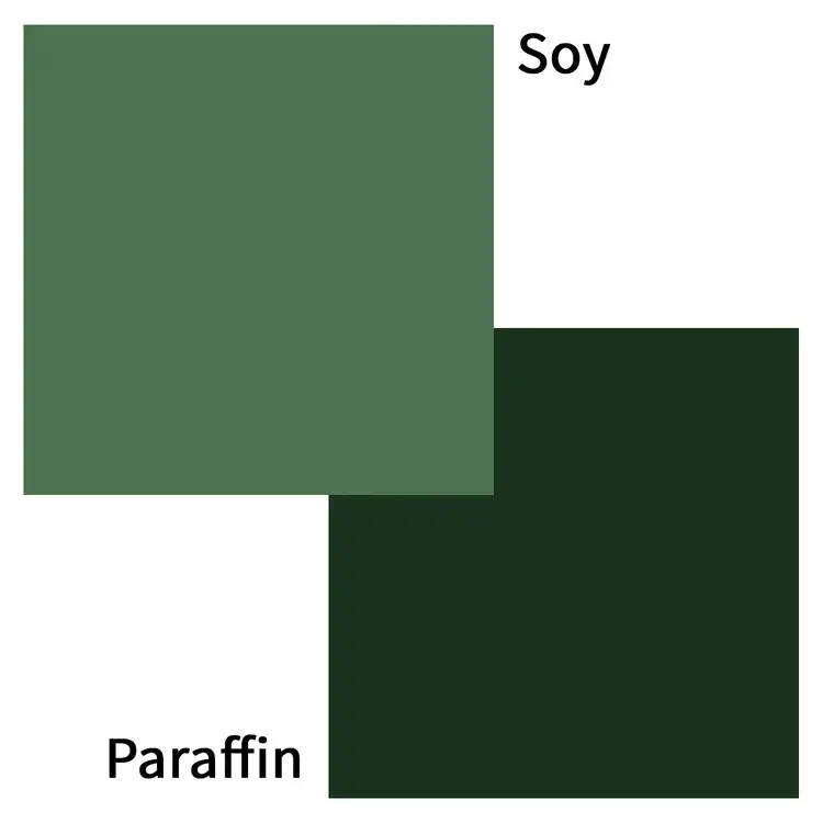 Forest Greens Color Palette