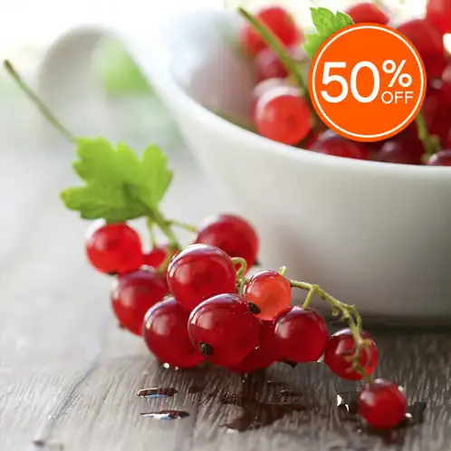 Red Currant (Discontinued)