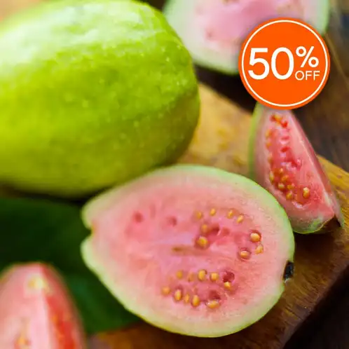 Passionfruit and Guava (Discontinued)