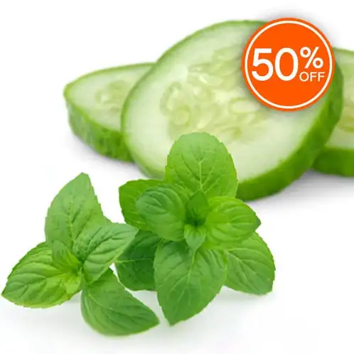 Cucumber Mint (Discontinued)