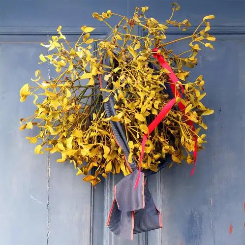 Merry Mistletoe Type (Discontinued)