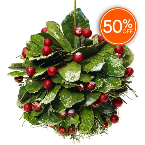 Mistletoe (Discontinued)