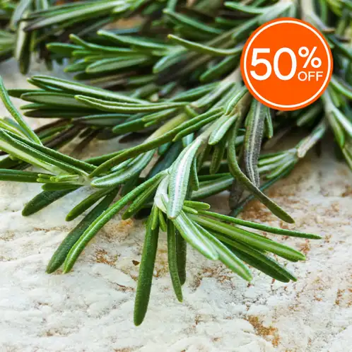 Rosemary (Discontinued)