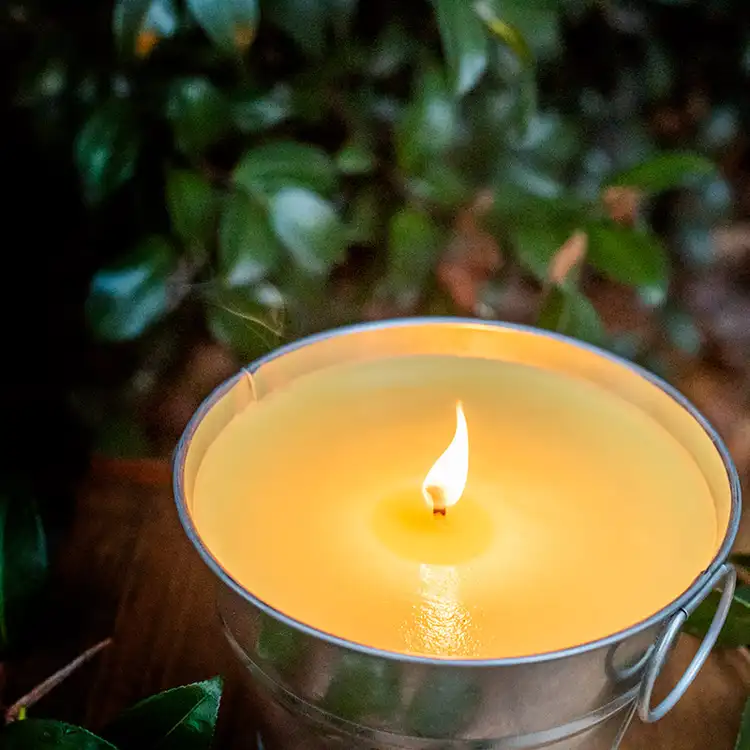 Where To Buy Scents For Candle Making