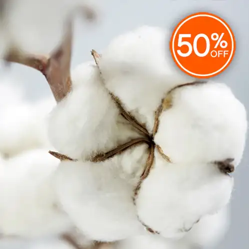 Cotton Tree (Discontinued)