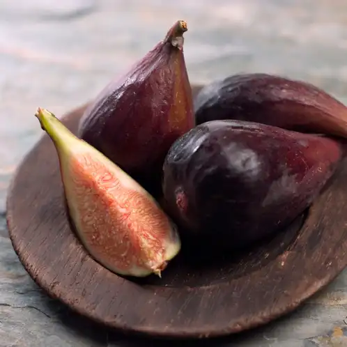 Fig Tree (Discontinued)