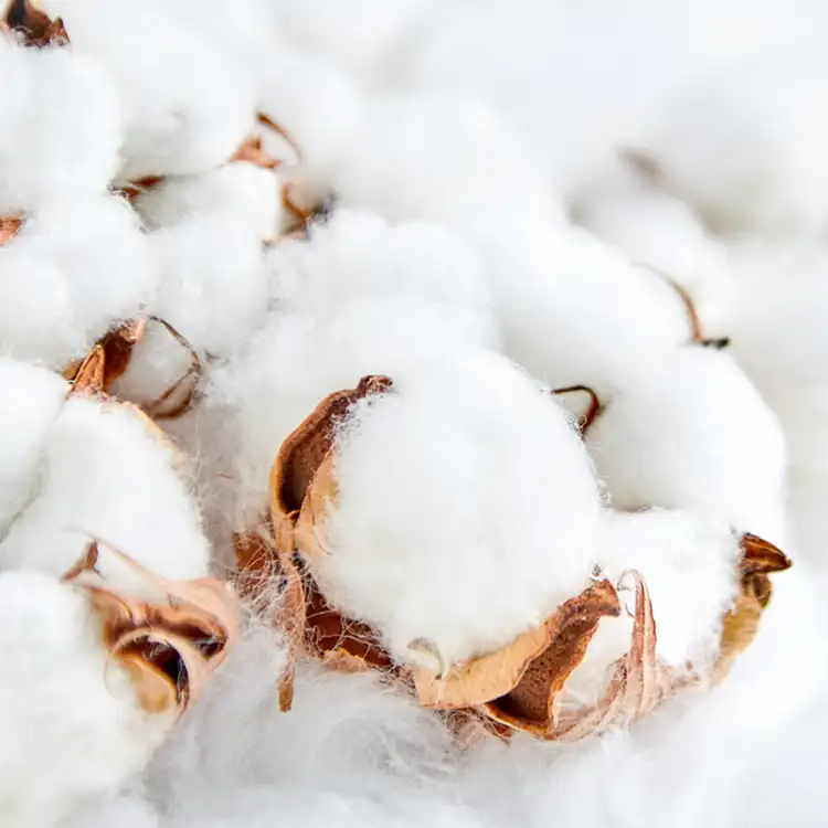 Cotton Blossom - Essential Oil Blend - Heart & Home