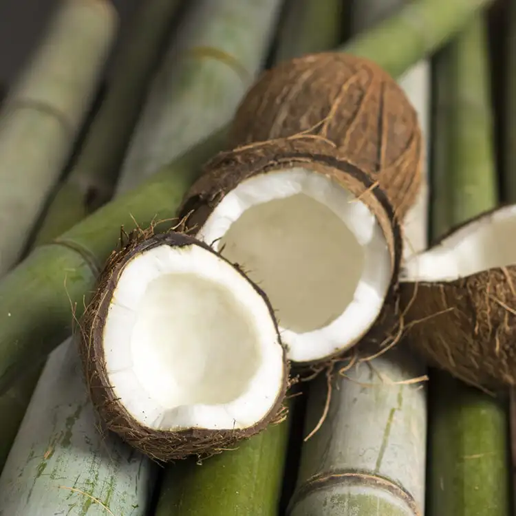 Bamboo and Coconut Fragrance Oil