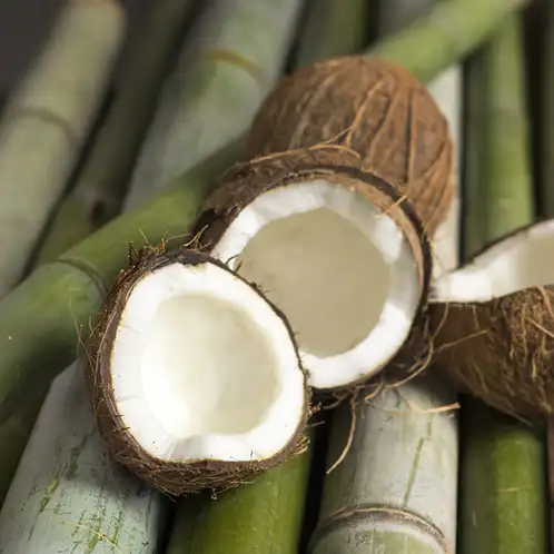 Bamboo and Coconut Fragrance Oil