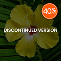 Hibiscus Palm Fragrance Oil