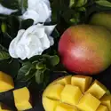 Mango and Gardenia Fragrance Oil
