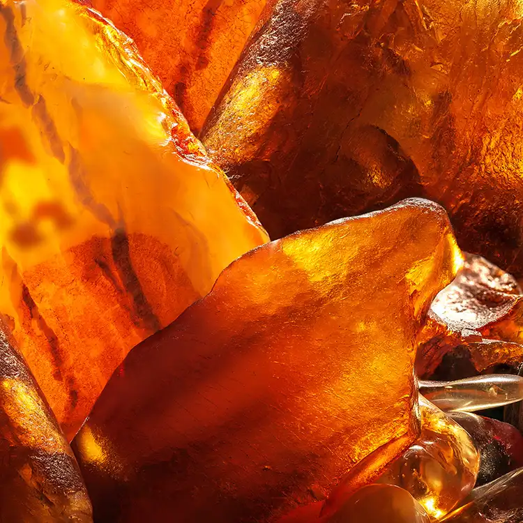 Amber oil