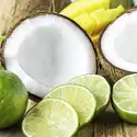 Coconut Lime Fragrance Oil