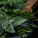 Sage and Cypress Fragrance Oil