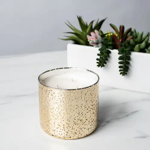 Gold Mercury 3-Wick Tumbler Jar with Planter