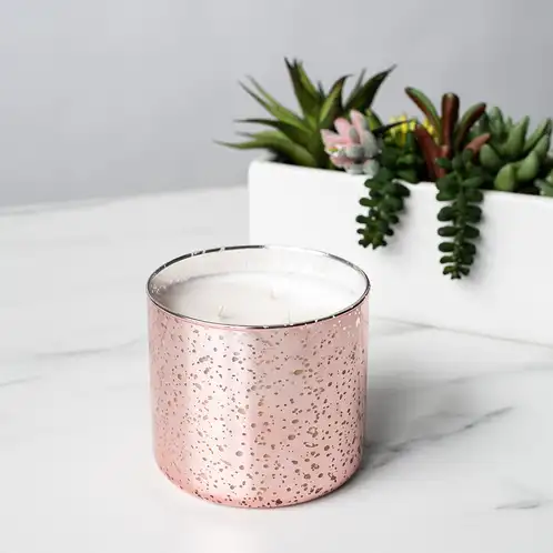 Rose Gold 3-Wick Mercury Tumbler Jar with Planter