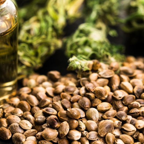 Hemp Fragrance Oil