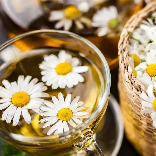 Chamomile Tea Fragrance Oil