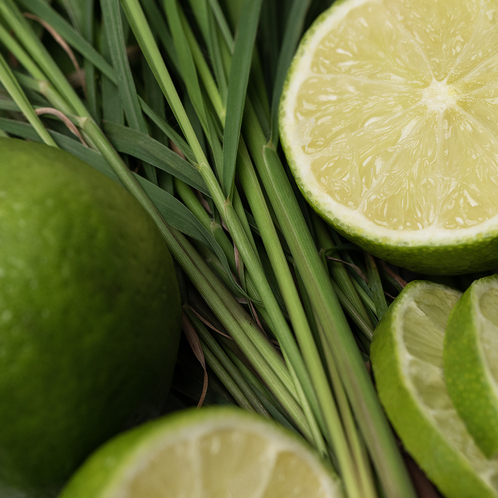 Lemongrass and Lime Fragrance Oil