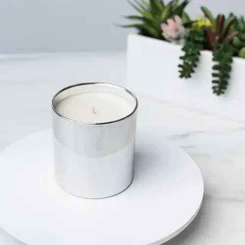 Silver Tumbler Jar in front of planter