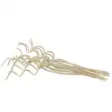 Spiral Diffuser Reeds