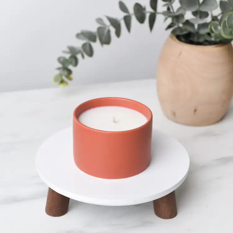 Mini Burnt Sienna Modern Ceramic Tumbler As Candle with Plant