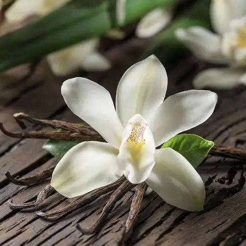 Vanilla Orchid Fragrance Oil