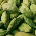 Cardamom Element Fragrance Oil