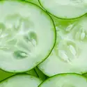 Cucumber Element Fragrance Oil