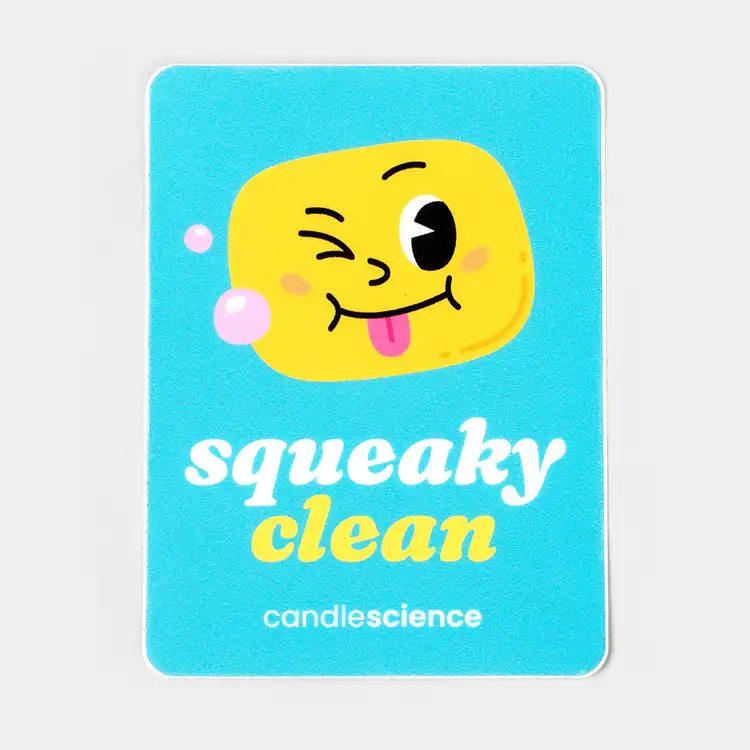 A cartoonish soap and bubbles with the words "squeaky clean" in bubbly, fun font on a turquoise background.