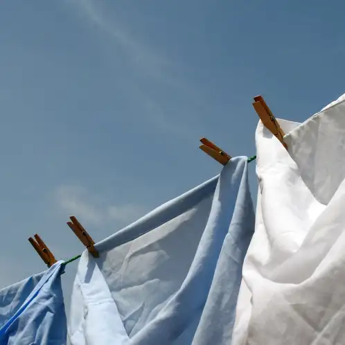 Clean Cotton (Discontinued v1)