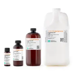 ★決算特価商品★ Teakwood Caribbean Fragrance CandleScience - Oil その他