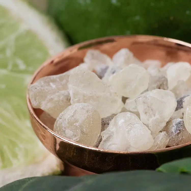 White Copal and Bergamot Fragrance Oil