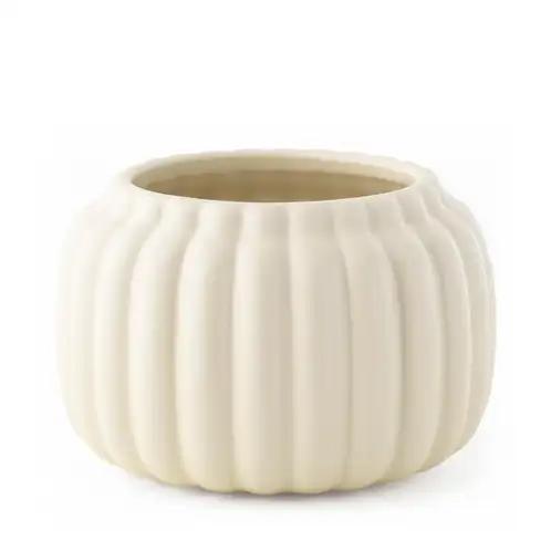 Harvest Ivory Ceramic Pumpkin Jar on a white background