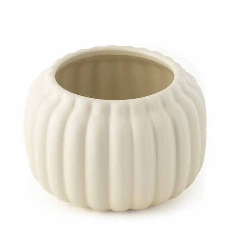 Harvest Ivory Ceramic Pumpkin Jar on a white background