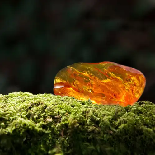 Oakmoss and Amber (Discontinued)