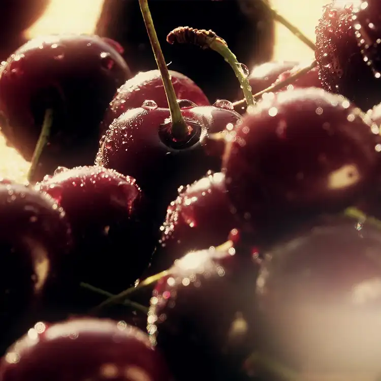 Cherry Eclipse Fragrance Oil