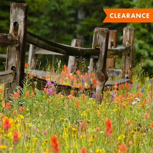 Meadow (Discontinued)