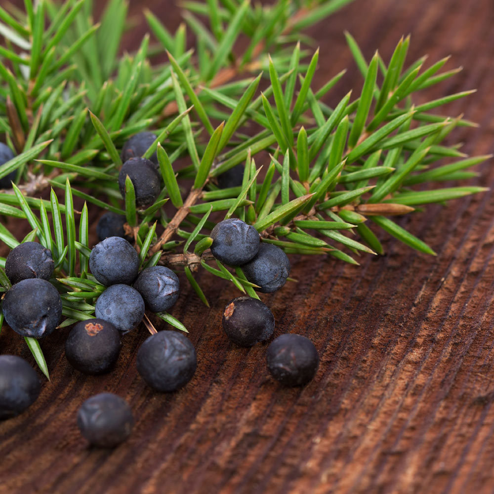 Juniper Breeze Fragrance Oil CandleScience