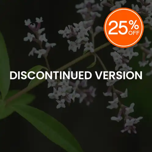 Lemon Verbena (Discontinued)